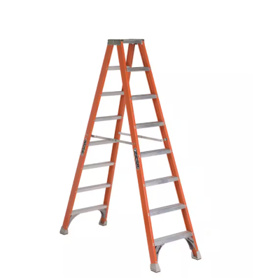 TWIN LADDER